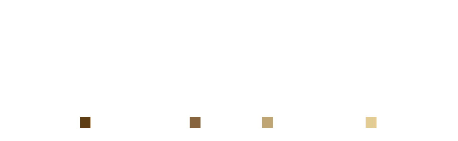 Padula Bodenbeläge – Teppich, Linoleum, Laminat, Parkett